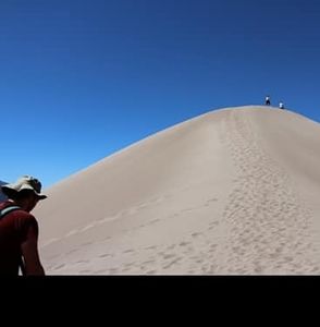 Meet your Posher, Patrick